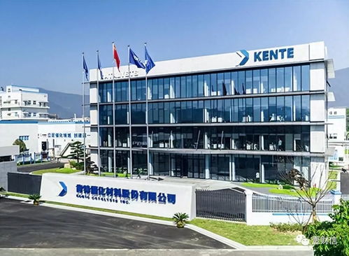 肯特催化戰(zhàn)略失衡 重銷(xiāo)售管理輕研發(fā)，技術(shù)開(kāi)發(fā)人員薪酬雙標(biāo)引關(guān)注