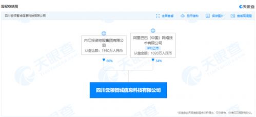 阿里巴巴成立科技公司加碼大數(shù)據(jù)服務(wù)，布局?jǐn)?shù)字經(jīng)濟(jì)新賽道